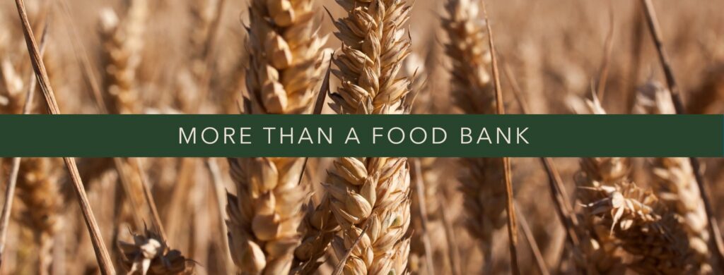 Header image showing a wheat field with the caption "more than a food bank".